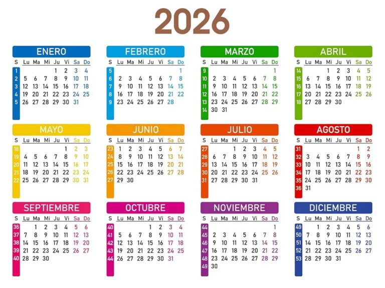 Lee más sobre el artículo Condiciones de Alquiler